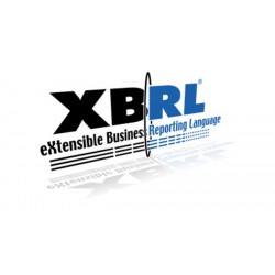Redazione XBRL con NI (in...